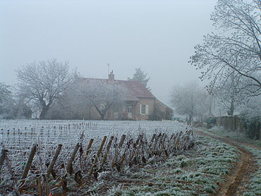 La maison dans les vignes des Vercots